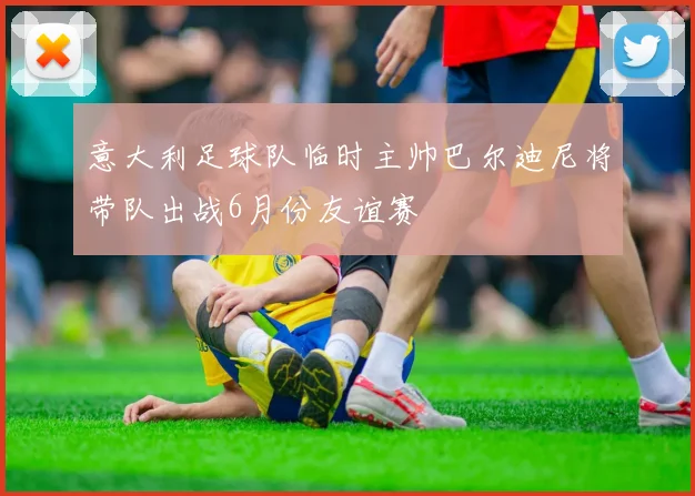 意大利足球队临时主帅巴尔迪尼将带队出战6月份友谊赛
