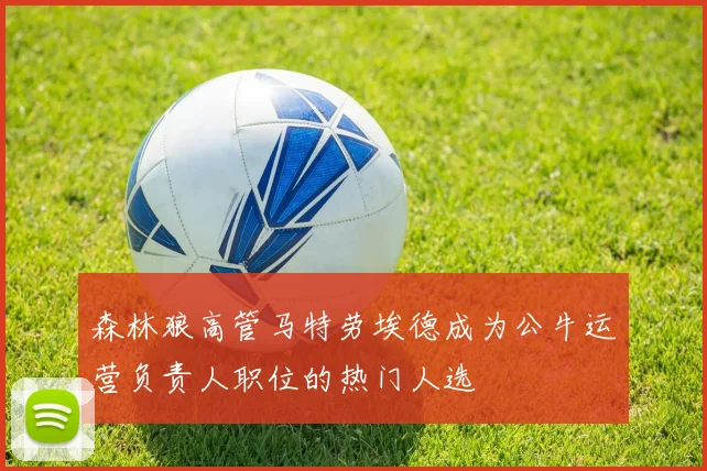 森林狼高管马特劳埃德成为公牛运营负责人职位的热门人选