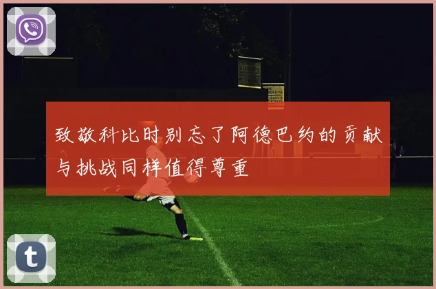 致敬科比时别忘了阿德巴约的贡献与挑战同样值得尊重